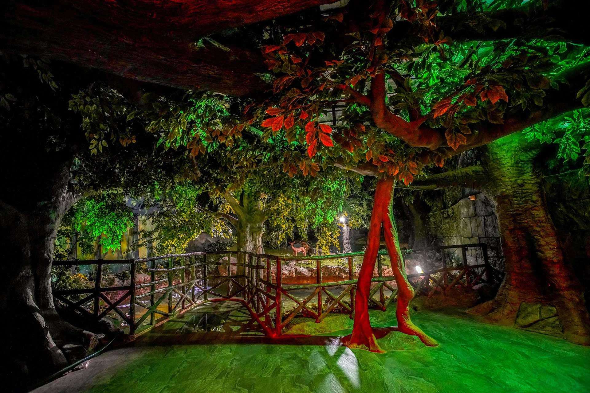 Artificial Rain Forest