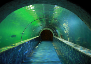 tourist-places-near-chavakkad