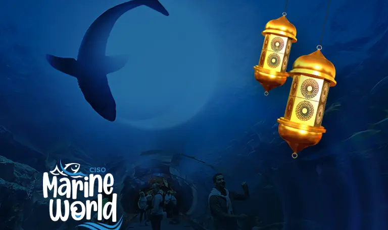 place to visit during Ramadan in Thrissur