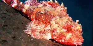 best places to visit near guruvayur