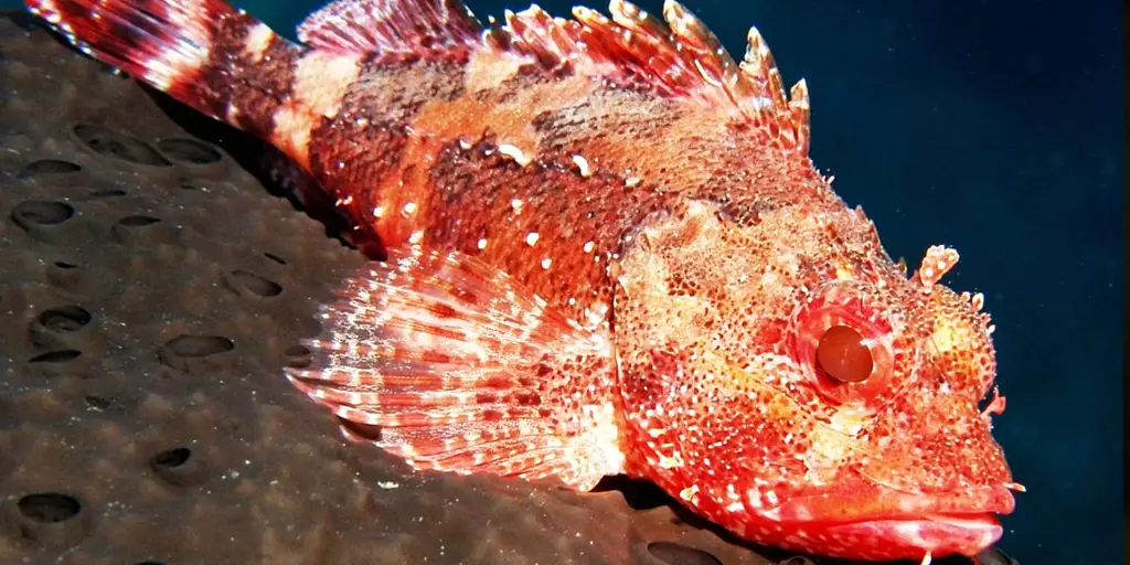 best places to visit near guruvayur