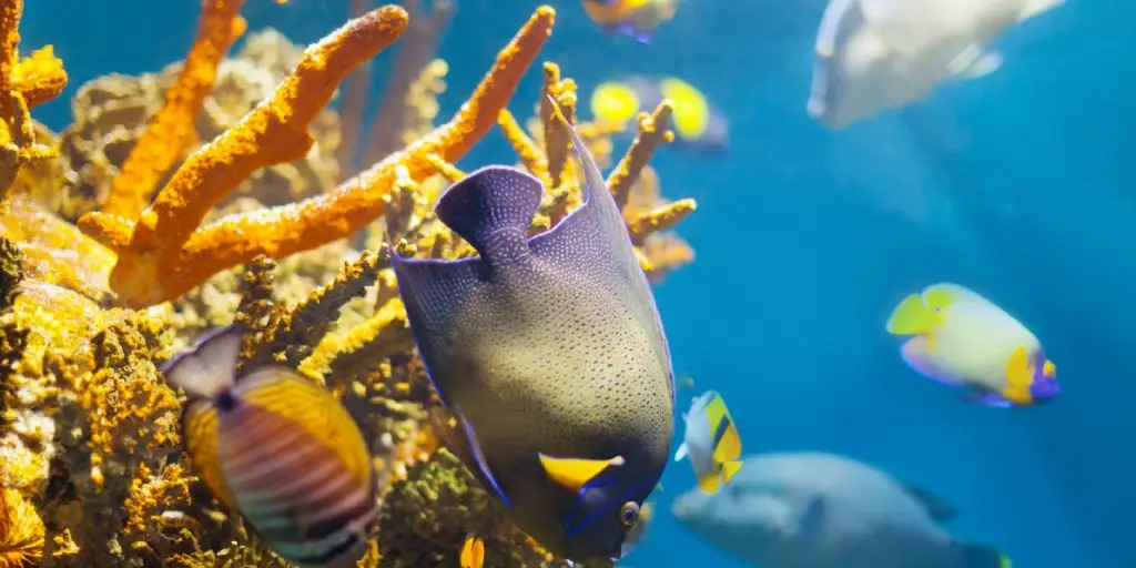 best places to visit near guruvayur