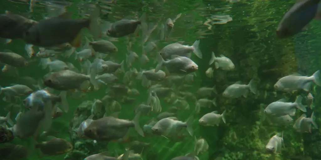 places to visit in Thrissur with family in 1 day