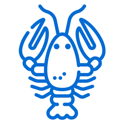 Lobster