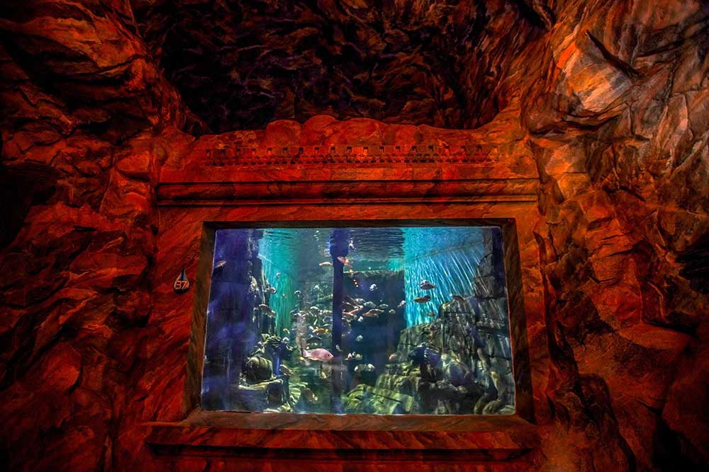 Exotic Marine Species