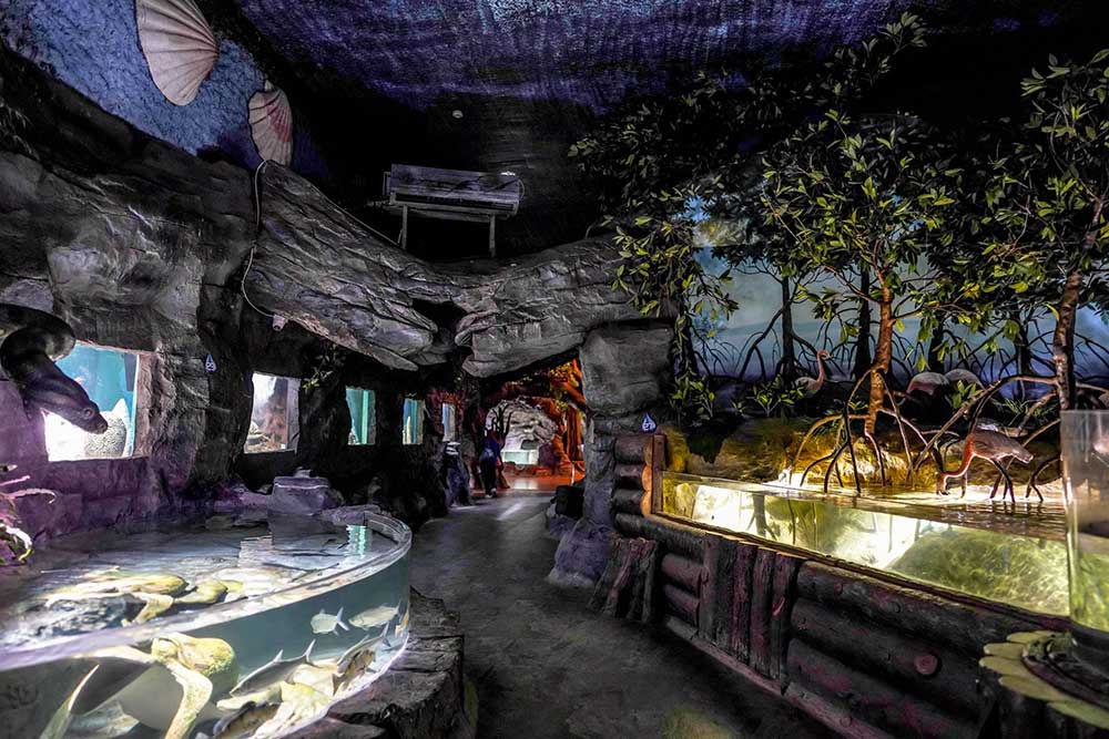 Coral Reef Ecosystem