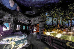 Artificial Mangrove Forest