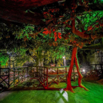 Artificial Rain Forest