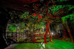 Artificial Rain Forest