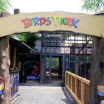 Bird’s Park