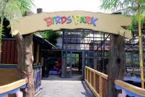 Bird’s Park