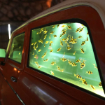 Car Aquarium