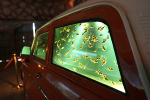 Car Aquarium