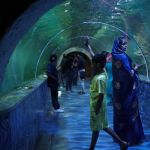 Under Water Tunnel